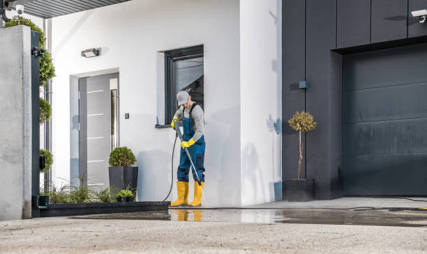Best Dumpster Area Cleaning  in Clute, TX